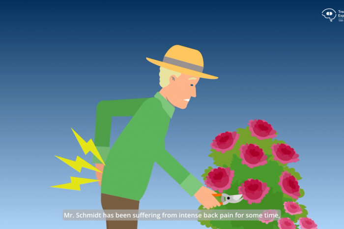 Our new animated film: How do expectations influence my health? 