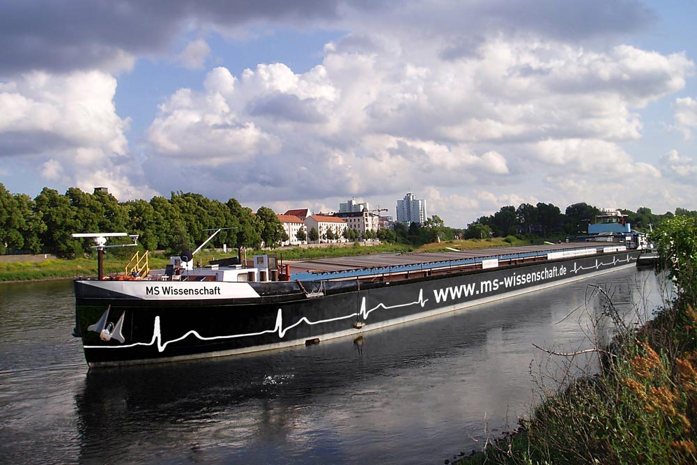 251210 MDMA braucht Serotonin SFB289 Treatment Expectation c Uni Marburg