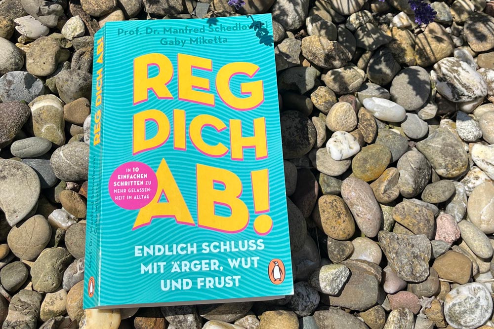 Reg dich ab Buch SFB289