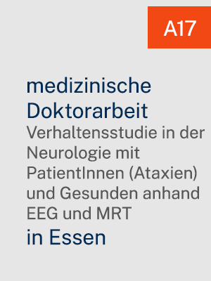A17 Doktorarbeit