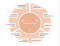 Organigramm Patient Advisory Board